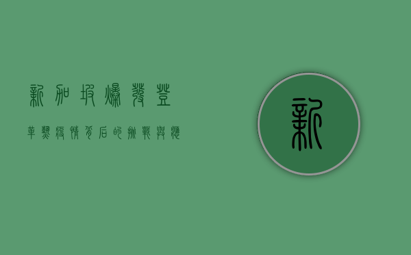 新加坡爆发登革热，疫情背后的挑战与应对措施