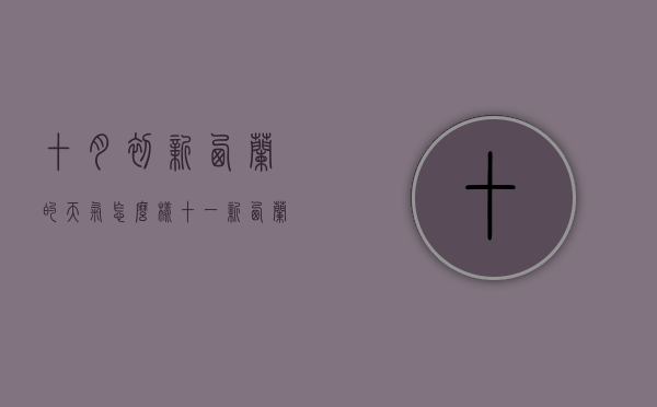 十月初新西兰的天气怎么样（十一新西兰天气情况）