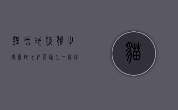 猫咪的液体之谜,为何它们能像水一样缩在盒子里? 猫咪的液体之谜,为何它们能像水一样缩在盒子里?