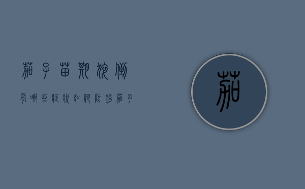 茄子苗期猝倒有哪些症状？如何防治茄子猝倒？（茄子秧打蔫怎么办）