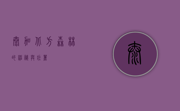 泰加，北方森林的神秘与壮丽