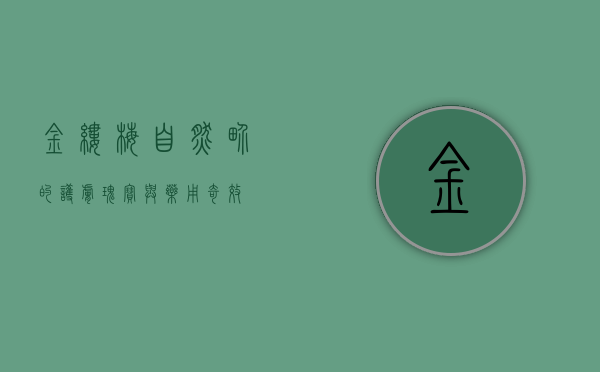 金缕梅，自然界的护肤瑰宝与药用奇效