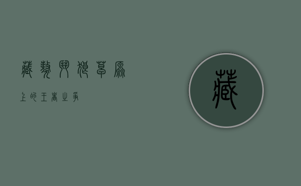 藏獒斗狼，草原上的王者之争