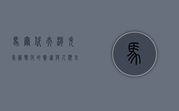 马尔代夫消失，气候变化的警钟与人类未来的挑战