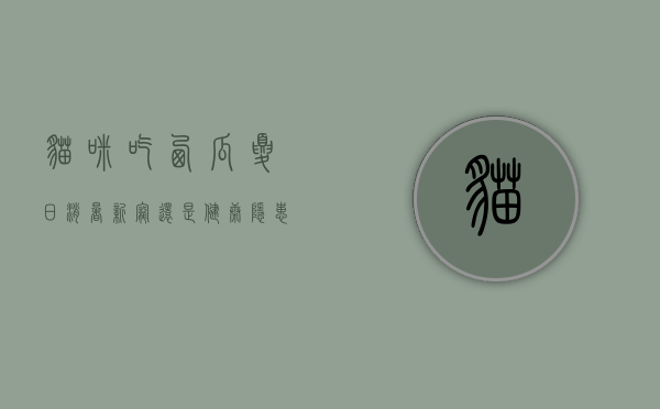 猫咪吃西瓜,夏日消暑新宠还是健康隐患? 猫咪吃西瓜,夏日消暑新宠还是健康隐患?