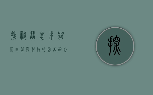 探秘赛里木湖网，自然与科技的完美融合