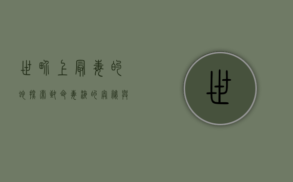 世界上最毒的蛇，探索致命毒液的奥秘与生存策略