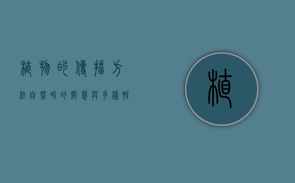 植物的传播方法，自然界的智慧与多样性