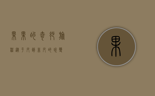 果果的奇妙旅程，从平凡到非凡的蜕变