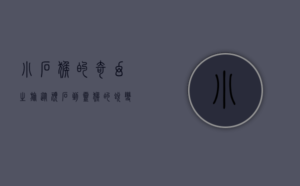 小石猴的奇幻之旅，从顽石到灵猴的蜕变