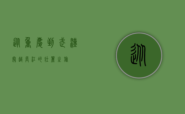 从重庆到武汉，穿越长江的壮丽之旅