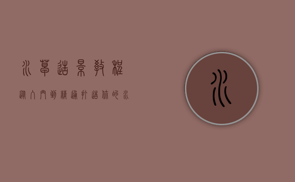 水草造景教程，从入门到精通，打造你的水下花园