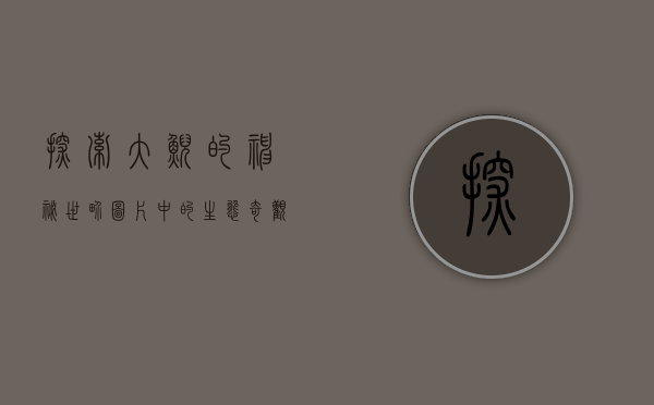 探索大鲵的神秘世界，图片中的生态奇观