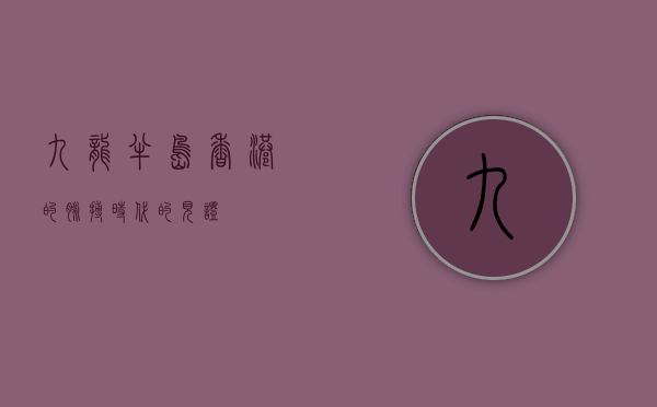 九龙半岛，香港的脉搏，时代的见证