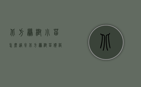 北方栾树小苗怎么过冬（北方栾树苗价格）