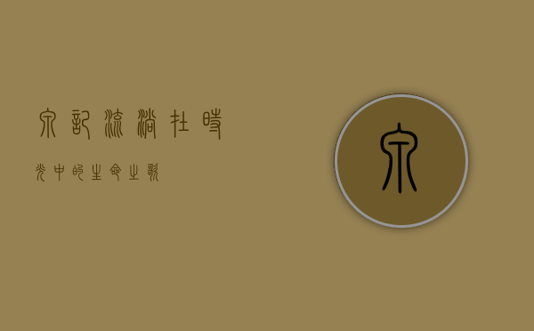 泉记，流淌在时光中的生命之歌