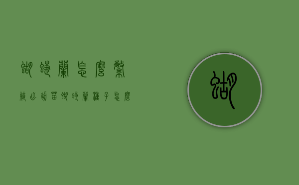 蝴蝶兰怎么繁殖出幼苗（蝴蝶兰种子怎么繁殖出幼苗）