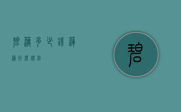 碧藕多少钱（莲藕什么价位）
