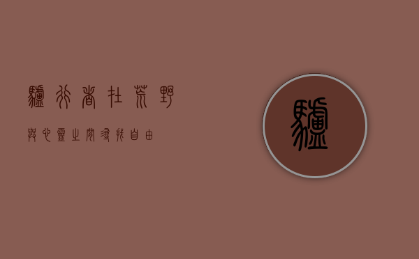 驴行者，在荒野与心灵之间寻找自由