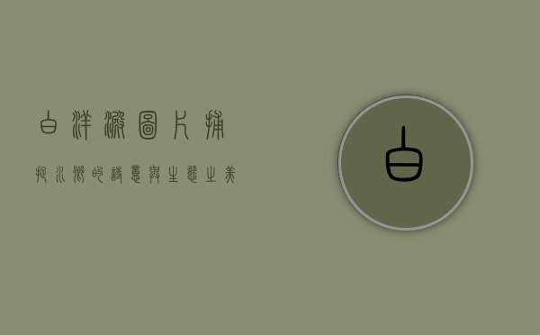 白洋淀图片，捕捉水乡的诗意与生态之美