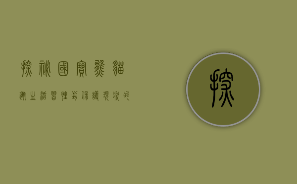 探秘国宝熊猫，从生活习性到保护现状的全面资料解析