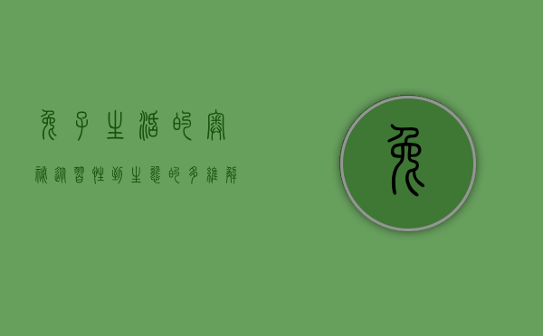 兔子生活的奥秘，从习性到生态的多维解读