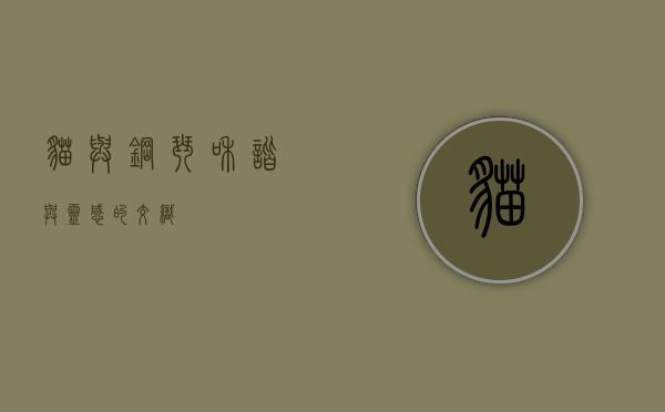 猫与钢琴，和谐与灵感的交织