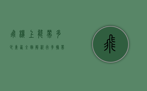 飞机上能带多少东西？全面解析行李携带规定