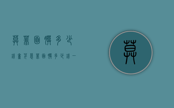 莫菲面膜多少钱盒（芊慕菲面膜多少钱一盒）