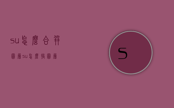 su怎么合并图层（su怎么搞图层）