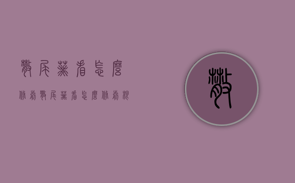 散尾葵看怎么修剪（散尾葵看怎么修剪根部）