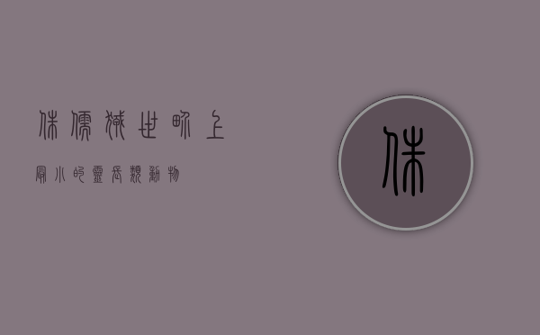 侏儒狨，世界上最小的灵长类动物