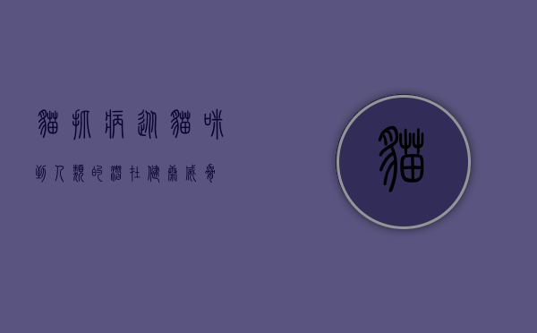 猫抓病，从猫咪到人类的潜在健康威胁