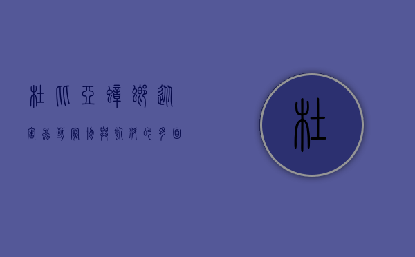 杜比亚蟑螂，从害虫到宠物与饲料的多面角色