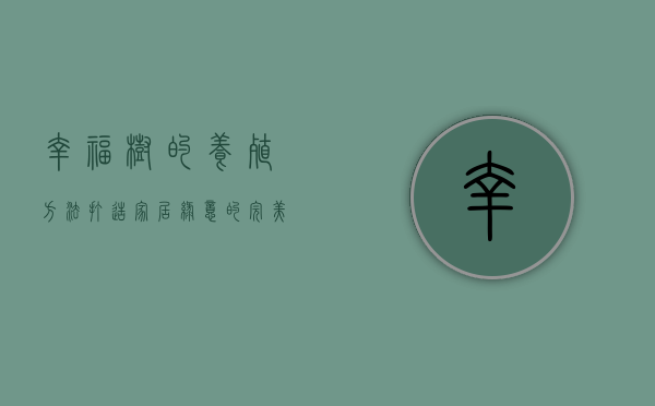 幸福树的养殖方法，打造家居绿意的完美指南