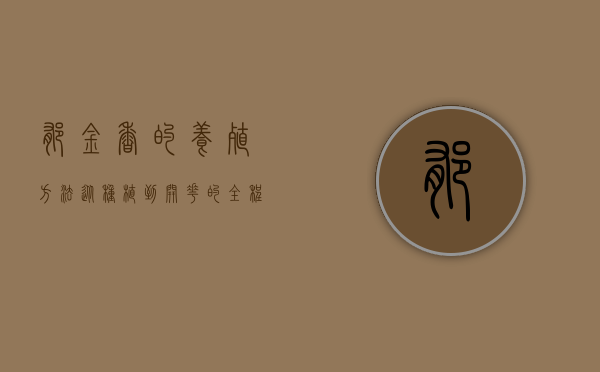 郁金香的养殖方法，从种植到开花的全程指南