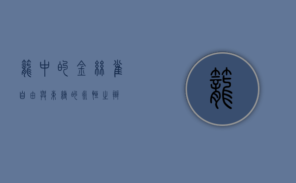 笼中的金丝雀，自由与束缚的永恒之辩