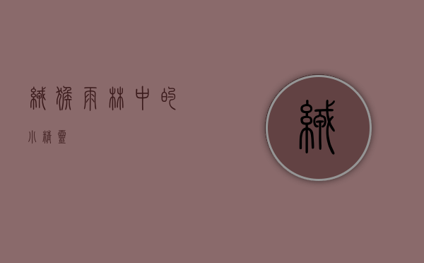 绒猴，雨林中的小精灵