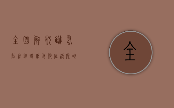 全面解析跳蚤防治，从识别到彻底清除的有效策略