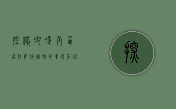 探秘蝴蝶角蛙，独特两栖动物的生态与保护