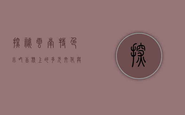 探秘云南特色小吃，舌尖上的多元文化与独特风味