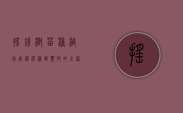 摇钱树苗种植指南，从选种到丰收的全程解析
