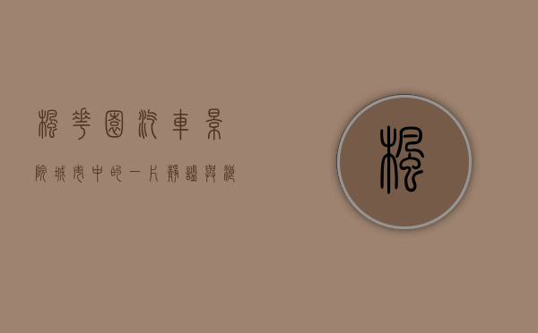 枫花园汽车影院，城市中的一片静谧与浪漫