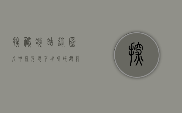探秘蝼蛄，从图片中窥见地下世界的建筑师