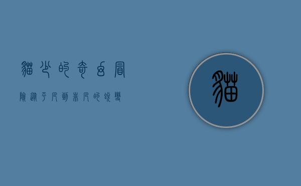 猫少的奇幻冒险,从平凡到非凡的蜕变 猫少的奇幻冒险,从平凡到非凡的蜕变