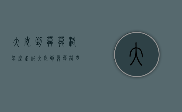 大安到莫莫格怎么走近（大安到莫莫格多远）