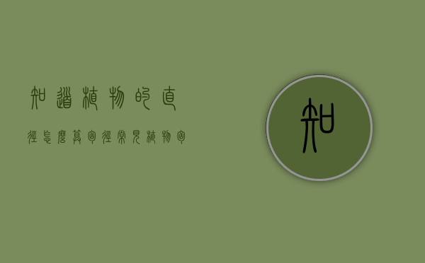 知道植物的直径怎么算胸径（常见植物胸径）