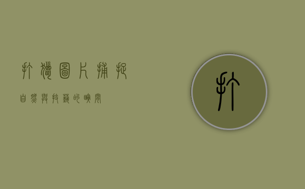 打猎图片，捕捉自然与技艺的瞬间