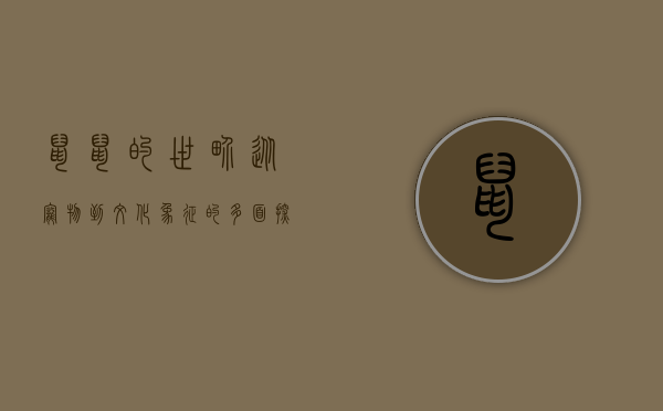 鼠鼠的世界，从宠物到文化象征的多面探索