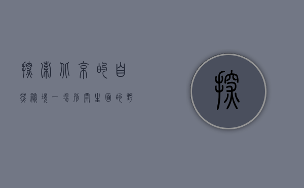 探索北京的自然秘境，一场别开生面的野游之旅